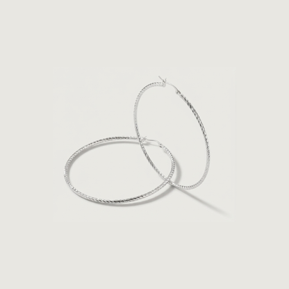 Radiant Hoop Earrings - Nelissima Jewelry