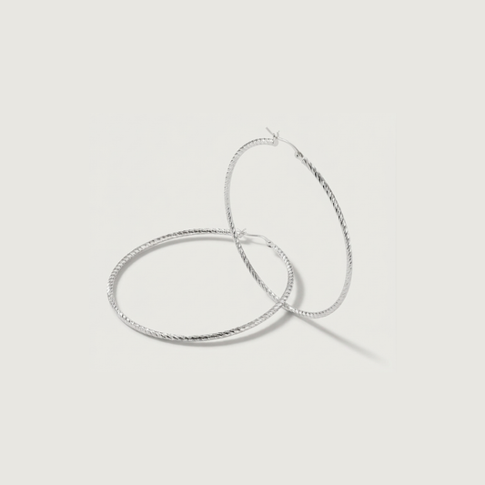 Radiant Hoop Earrings - Nelissima Jewelry