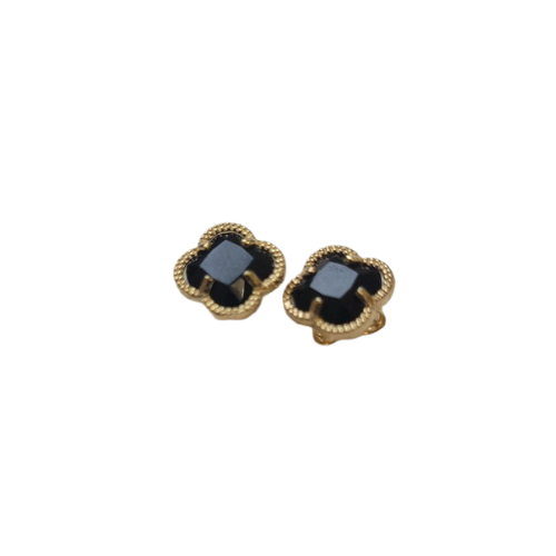 flower clove  black